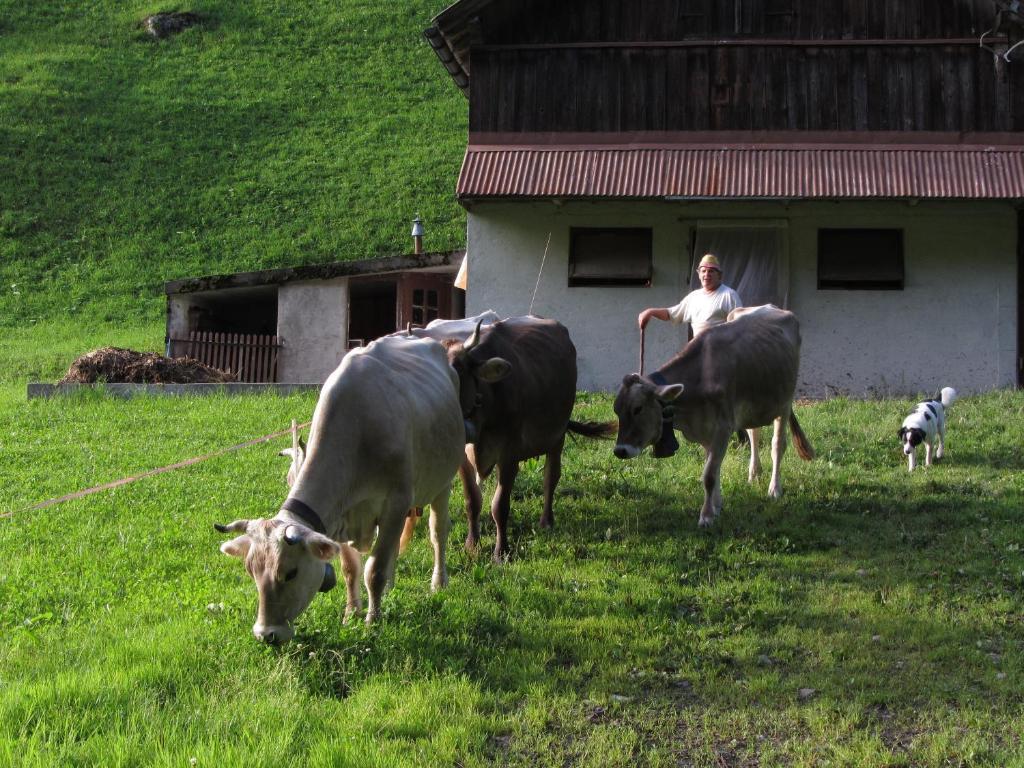 Ferienstudio In